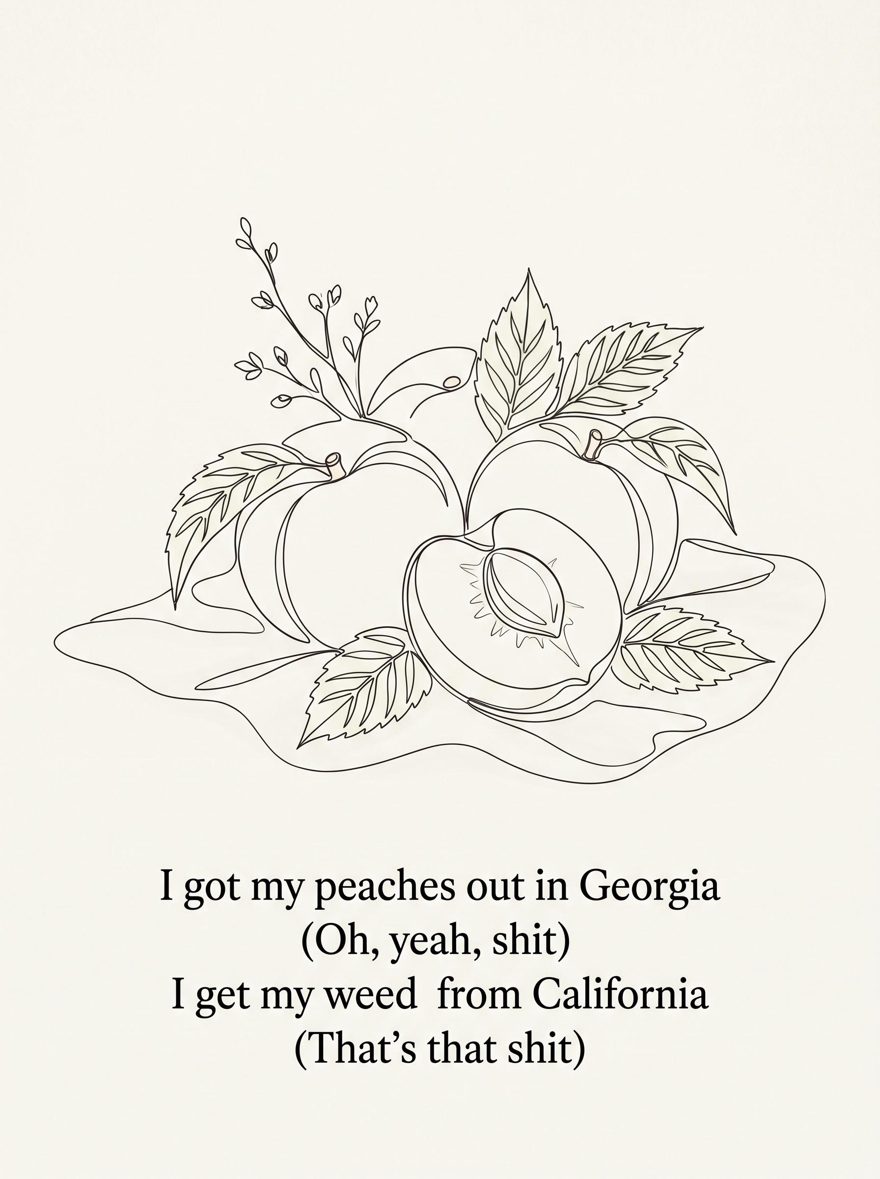 "I got my peaches out in Georgia (Oh, yeah, shit) / I get my weed from California (That's that shit)" by Justin Bieber — lyric art