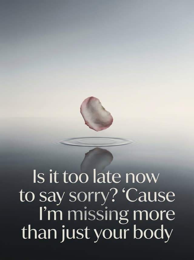 Sorry by Justin Bieber – 'Is it too late now to say sorry? 'Cause I'm missing more than just your body' lyric design printed on the back of a t-shirt