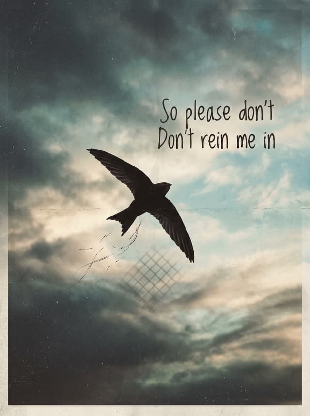 Rein Me In by Sam Fender & Olivia Dean – 'So please don't, Don't rein me in' lyric design printed on the back of a t-shirt